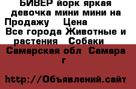 БИВЕР йорк яркая девочка мини мини на Продажу! › Цена ­ 45 000 - Все города Животные и растения » Собаки   . Самарская обл.,Самара г.